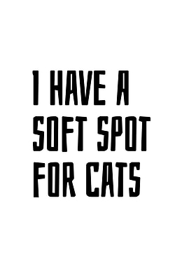 Soft spot for the cats