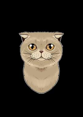 Scottish Fold Cat Lover