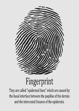Fingerprint