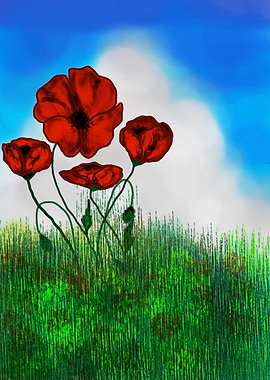 poppies field