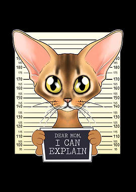 Abyssinian Cat Mom