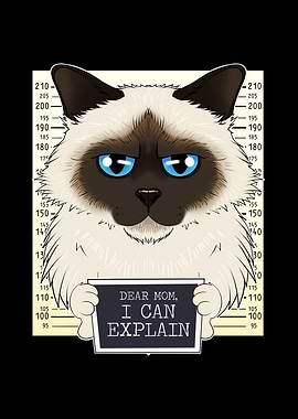 Birman Cat Mom Dear Mom