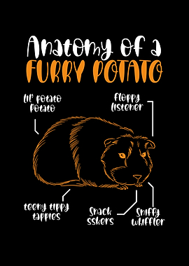 Anatomy of a furry potato