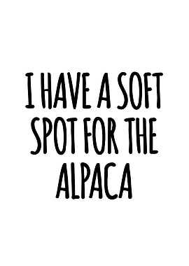 Soft spot for the alpaca