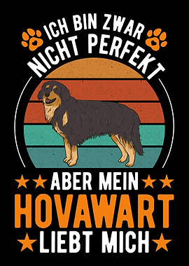 Hovawart Hund
