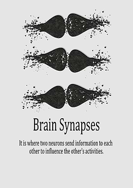 Brain Synapses