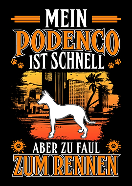 Fauler Podenco Canario Spa