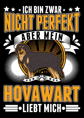Hovawart Hund