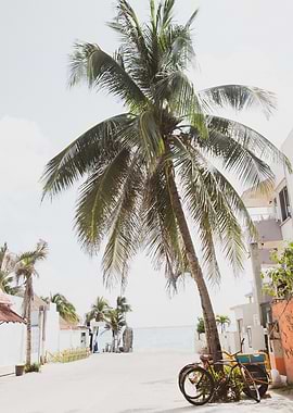 Caribbean Street Vibes 1