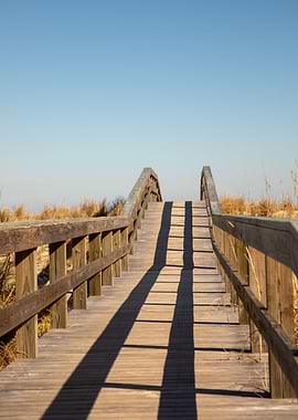 Boardwalk to the Beach