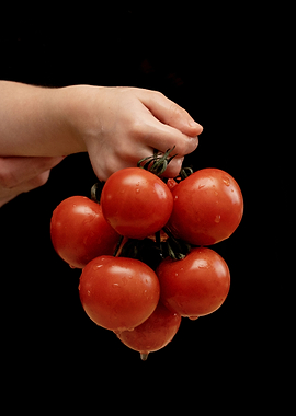 Tomatoes