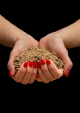 Grain