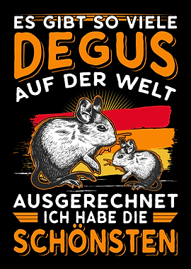 Degu Nagetier Degu Geschen