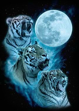 Three Tiger Moon