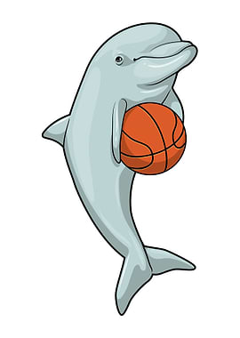 Dolphin Basketball Sports