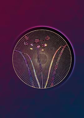 Allium Scorzonera Folium