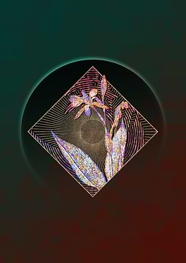 Bandana of the Everglades