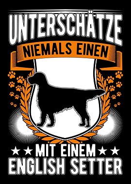 English Setter Alter Mann