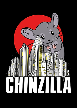 Cute Chinchilla in town