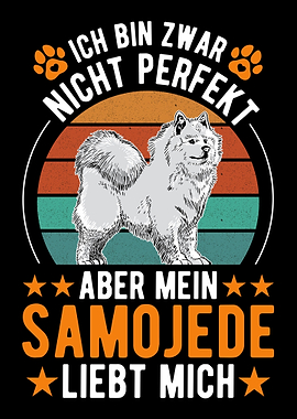 Samojede Schlittenhund Sam