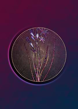 Amaryllis Montana Mosaic