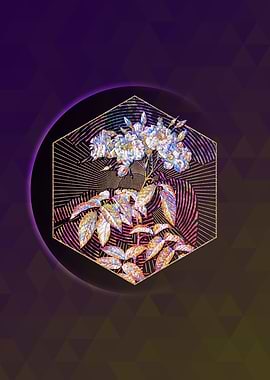 Geometric Mosaic Musk Rose