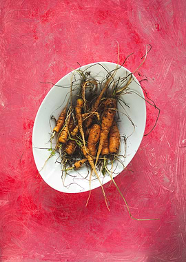 Carrots