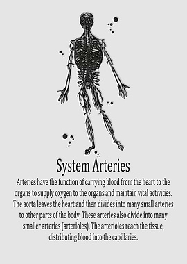 System Arteries