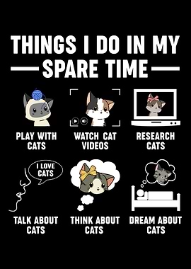 Cat Owner Funny Kitten