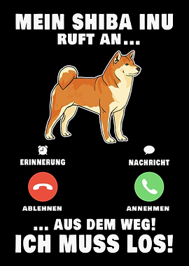 Mein Shiba Inu ruft an