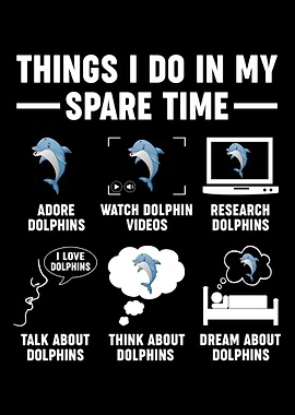 Dolphin Funny Dolphins