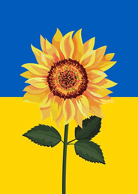 Ukraine Sunflower