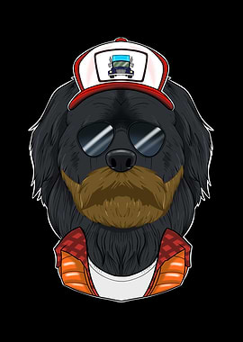 Truck Driver Newfoundland