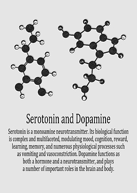 Serotonin and Dopamine