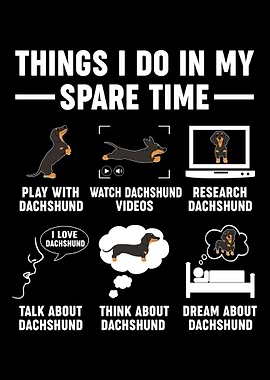 Dachshund Dog Owner