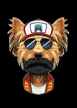 Trucker Yorkshire Terrier
