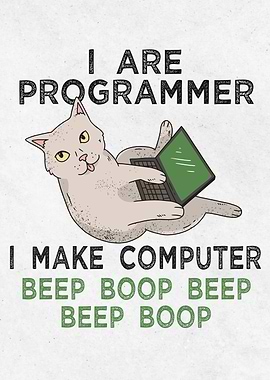 Funny programmer cat