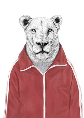 Sporty lion