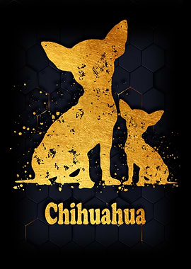 Chihuahua