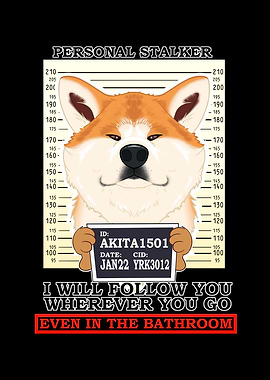 Akita Inu Personal Stalker