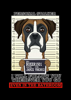 Boxer Personal Stalker