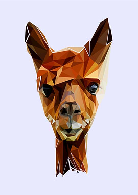 alpaca pop art