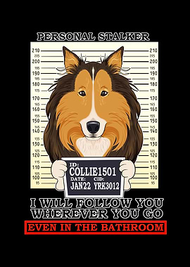 Collie Personal Stalker