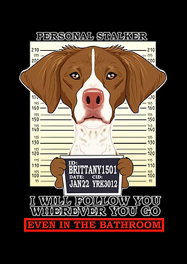 Brittany Personal Stalker