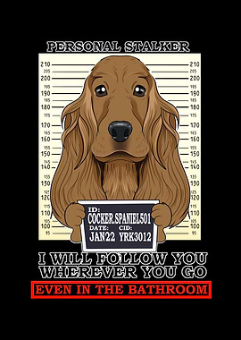 Cocker Spaniel Stalker