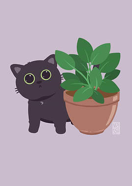 Plant Peeker