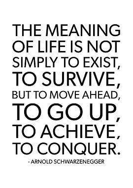 Meaning Of Life To Conquer