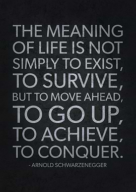 Meaning Of Life To Conquer