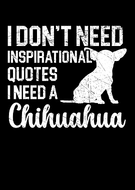 I Need A Chihuahua Dog