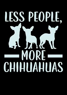 More Chihuahuas